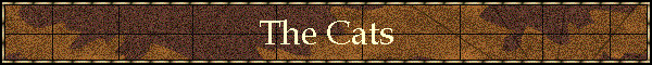 The Cats