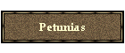 Petunias