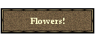 Flowers!