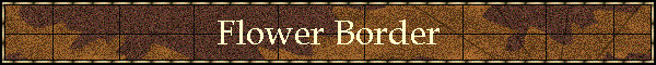 Flower Border