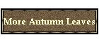 More Autumn Leaves