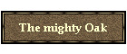 The mighty Oak